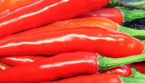 找稳定货源的网站攻击工具