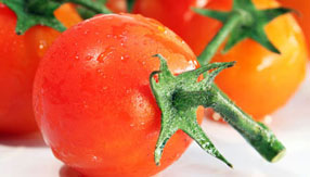 替企业解难题的免费DDOS攻击测试工具